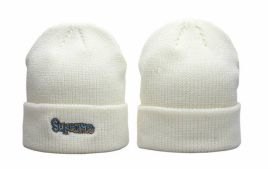Picture for category Supreme Beanies